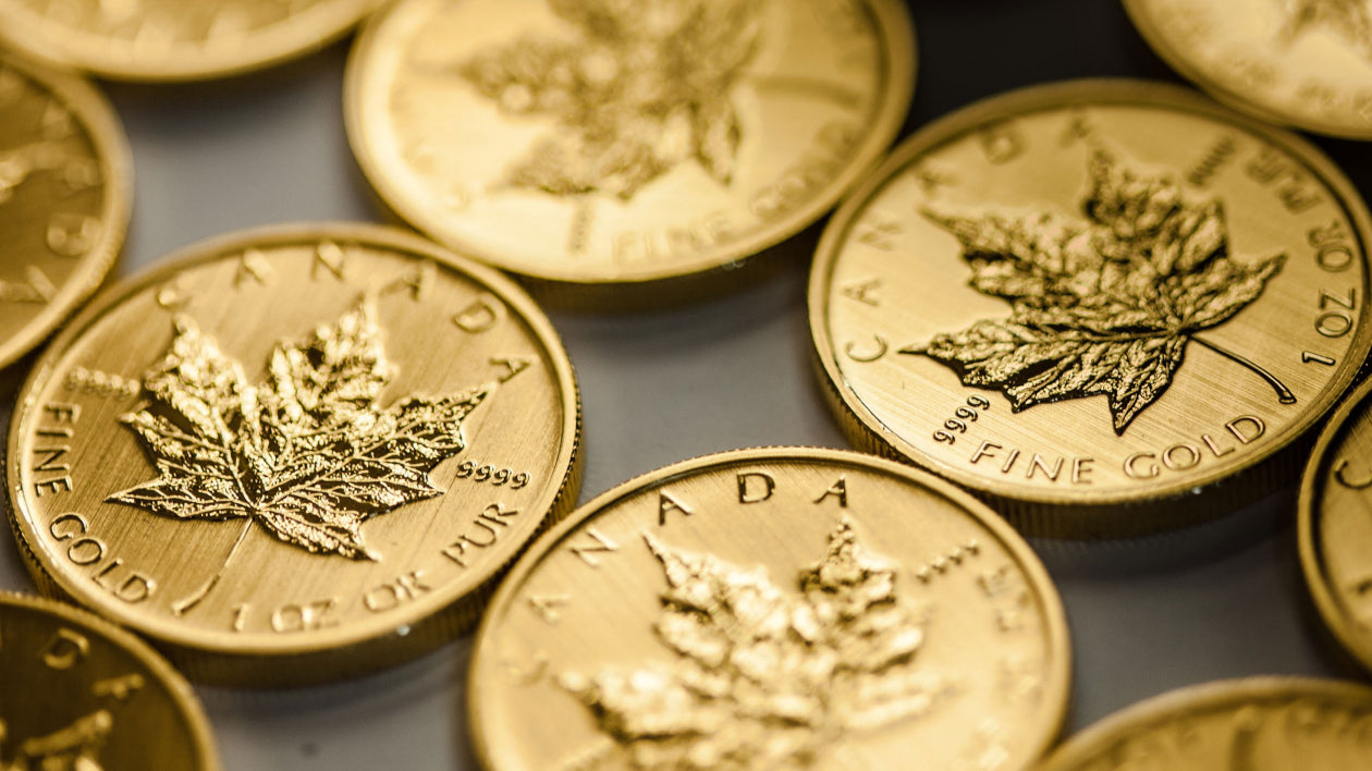Gold Canadian Maple Leaf coins displayed on a black surface