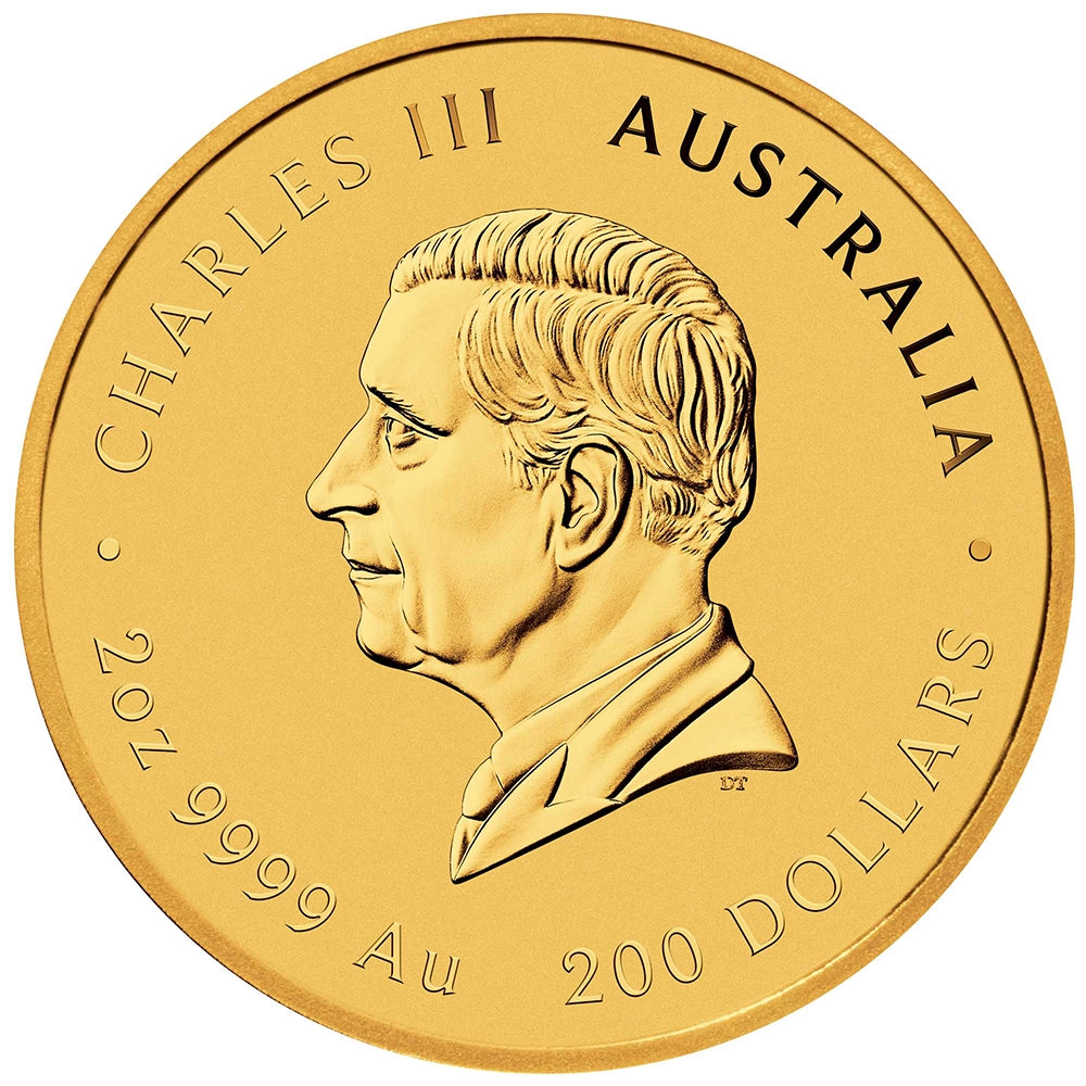 2025 Australian Lunar Series III: Year of the Snake 2 oz Gold Coin obverse featuring the effigy of King Charles III